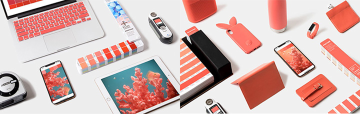 Pantone 2019ɫɺůĹռ